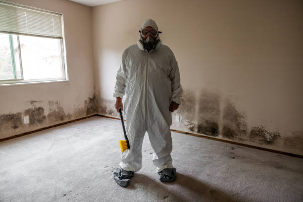 Best Commercial Mold Inspection  in Hoquiam, WA